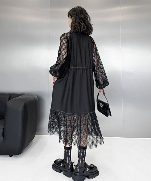 See-through Sleeve Dress